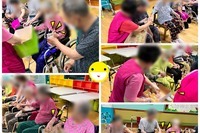 볼풀공놀이