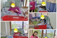 미니공놀이