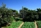 이미지샘플