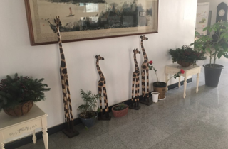 이미지샘플
